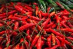Objetivo híbrido Canon RF-S 18-150 mm f/3,5-6,3 IS STM - Imagen 9