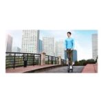 Patinete eléctrico plegable Xiaomi M365 Mi 250W negro - Imagen 6